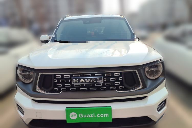 Used Haval H Dog 2023 2.0T Two-Wheel Drive Chaoye Version Plus Front