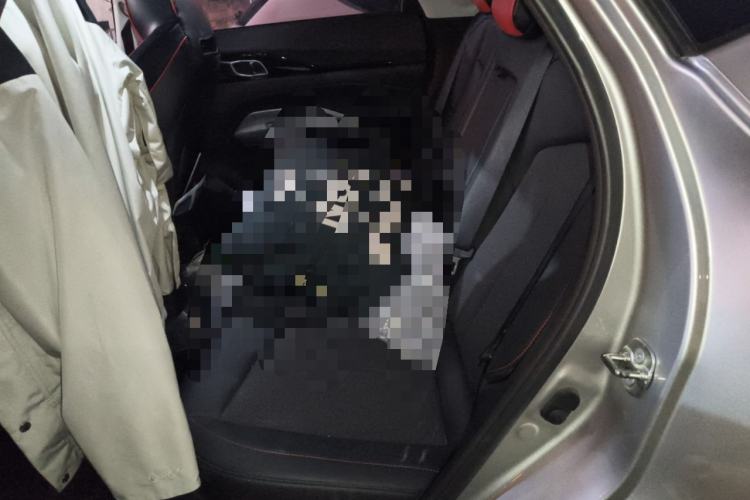 Used CHANGAN OSHAN Z6 2022 Blue Whale 1.5T DCT Luxury Model Left Rear Seat