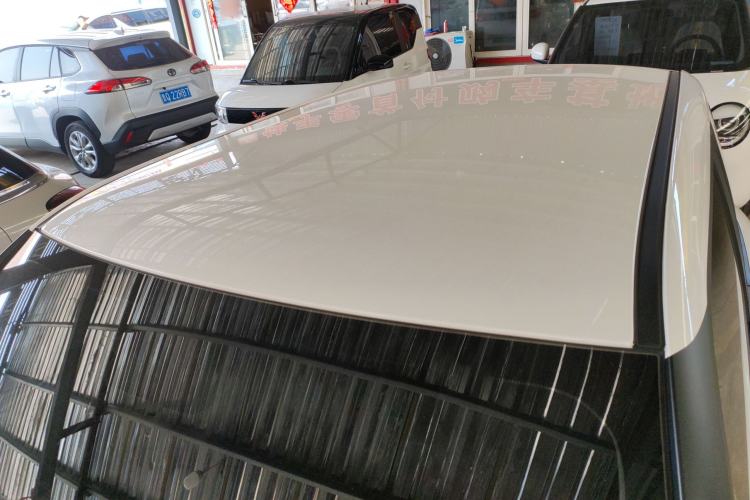 Used Qiyuan Lumin 2023 205km Xiangqin Version
