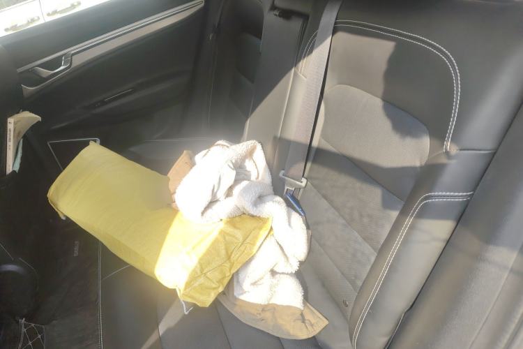 Used Geely Auto Emgrand GS 2019 1.4T CVT Edition Left Rear Seat