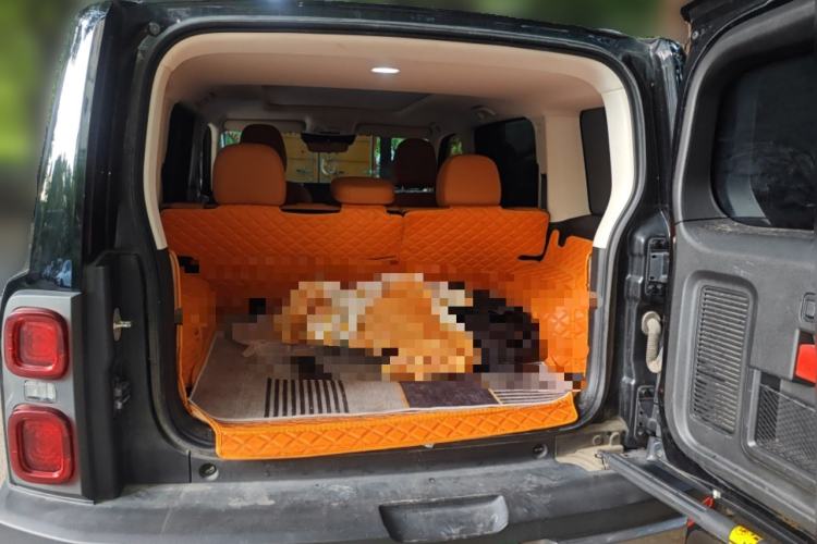 Used Haval Raptor New Energy 2023 Hi4 102 Exploration Edition