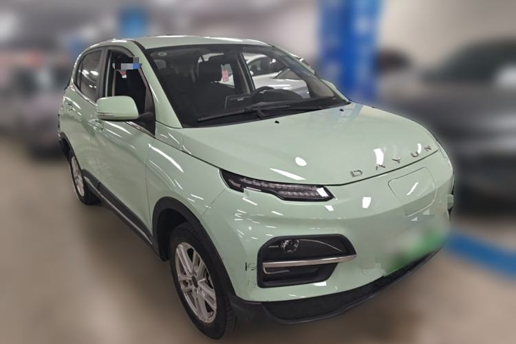 Used Dayun Yuehu 2023 300 Standard Edition
