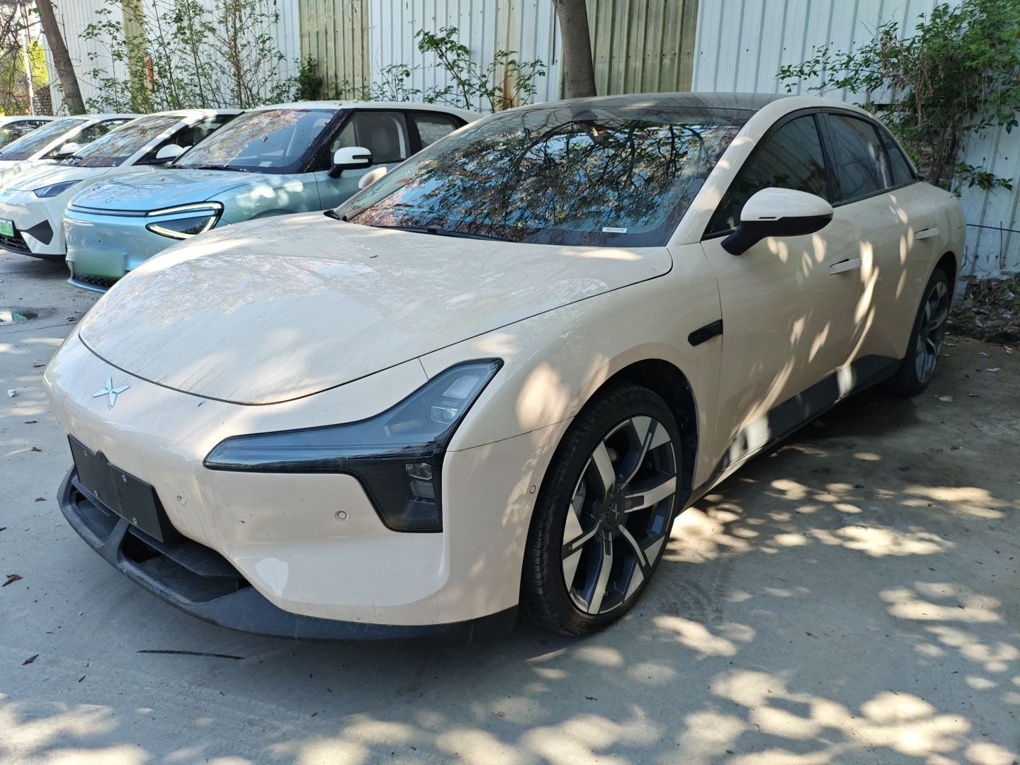 Parte inferior delantera