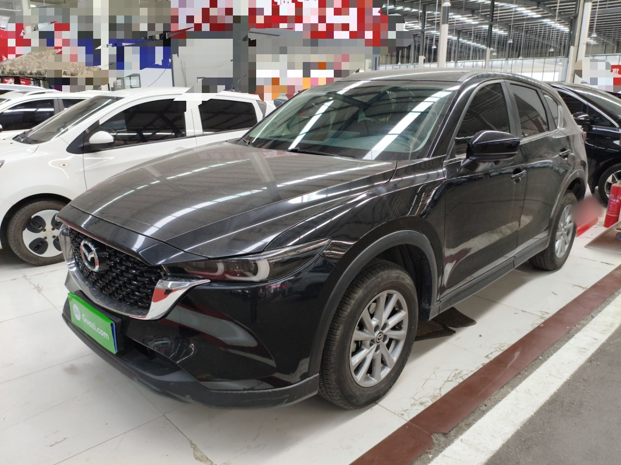 Parte inferior delantera