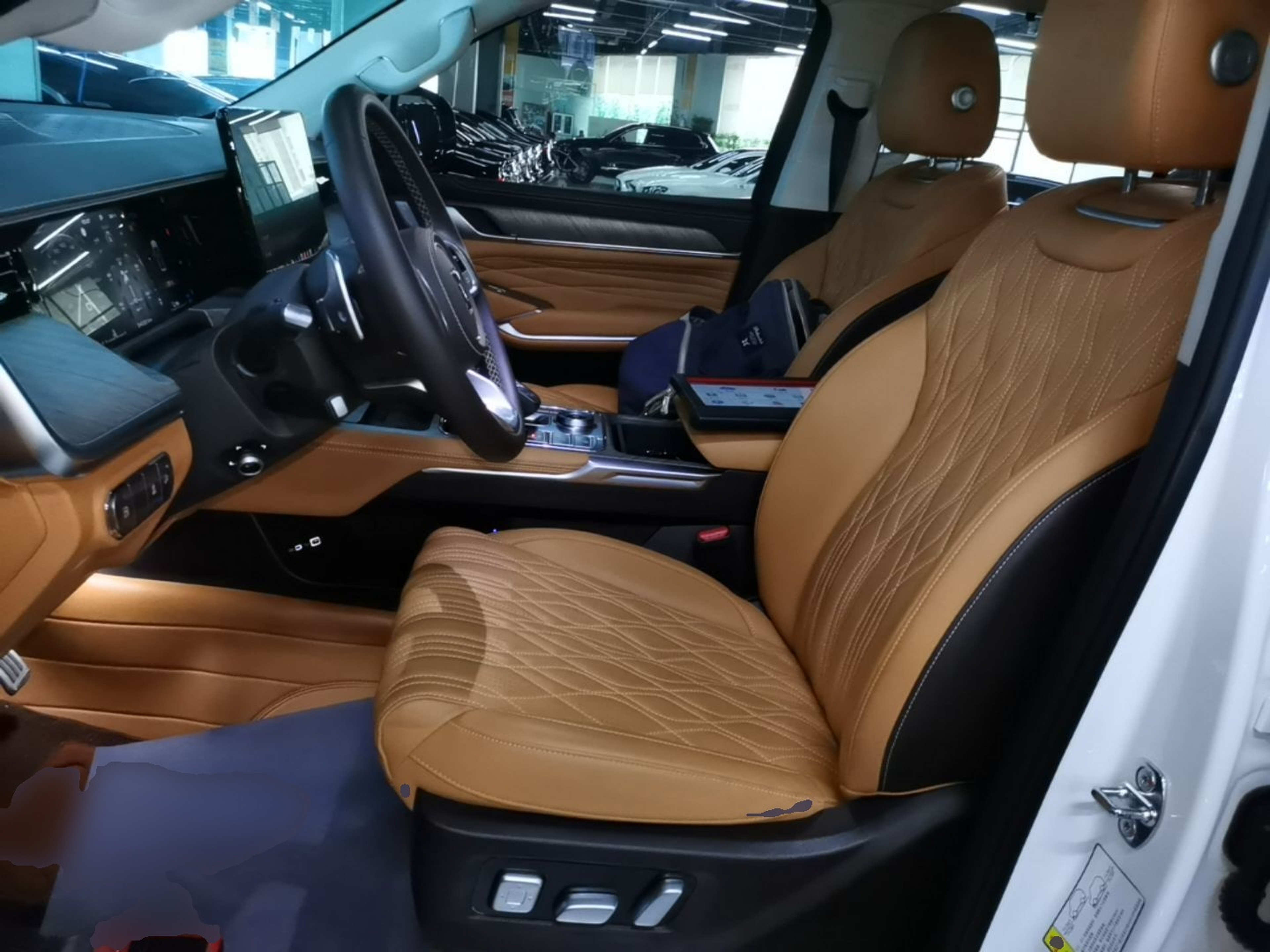 Interior delantero