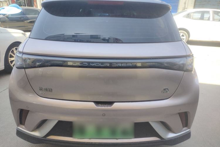 Used BYD Dolphin 2021 401km Knight Edition Rear