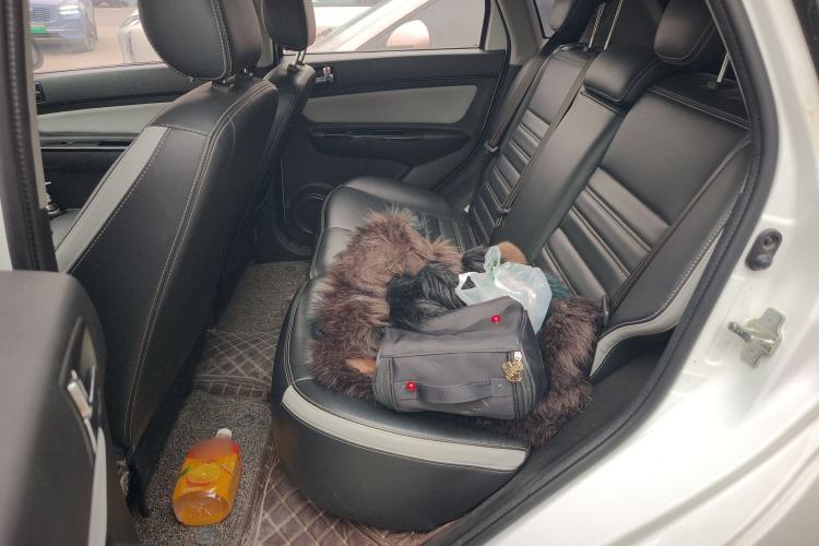 Used BAIC New Energy EC5 2019 New Style Edition
