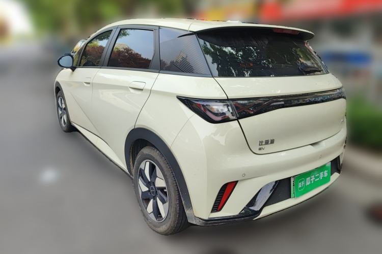 Used BYD Dolphin 2025 420km Free Edition Rear Left 45 Deg