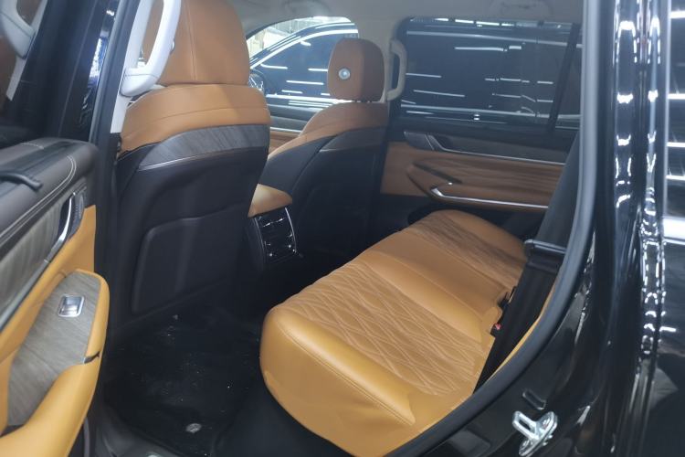 Used Tank 500 New Energy 2023 Hi4-T Left Rear Seat