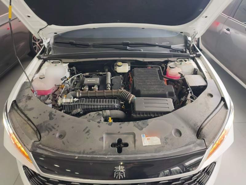 Used BYD Qin PLUS 2025 DM-i Smart Drive 55KM Leading Model — 19