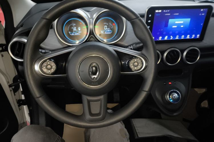 Used ORA Black Cat 2021 351 km Standard Version Steering Wheel