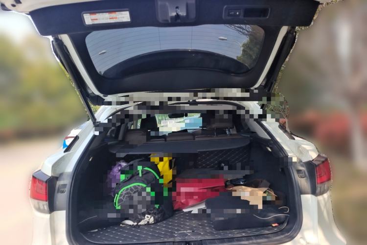 Used Lexus RX 2020 Facelifted 300 4x4 Elegant Edition
