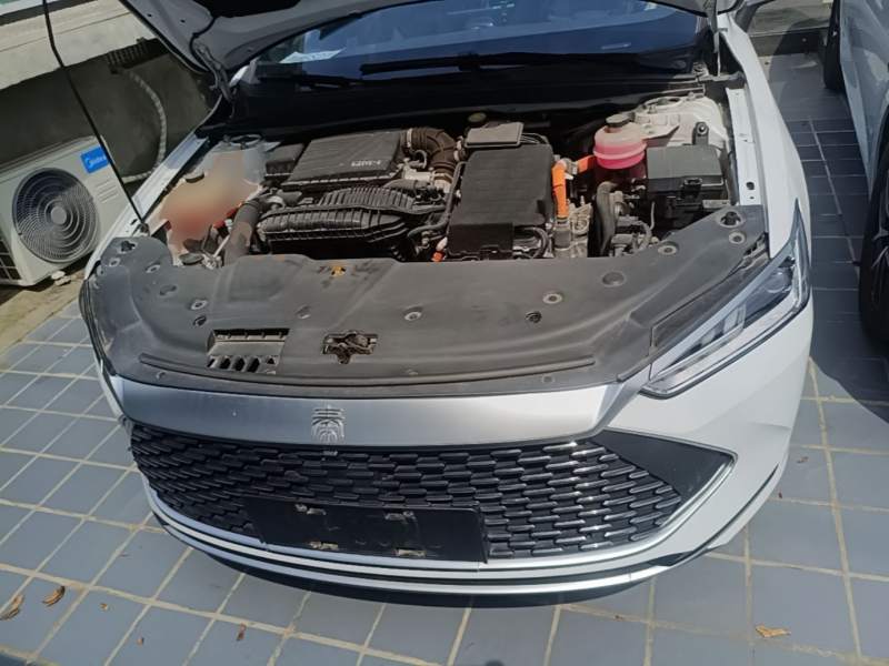 Used BYD Qin PLUS 2021 DM-i 120KM Prestige Model — 19
