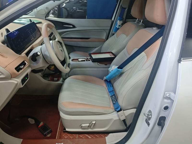 Used ORA Good Cat 2024 401 km Luxury Version 126 kW — 14