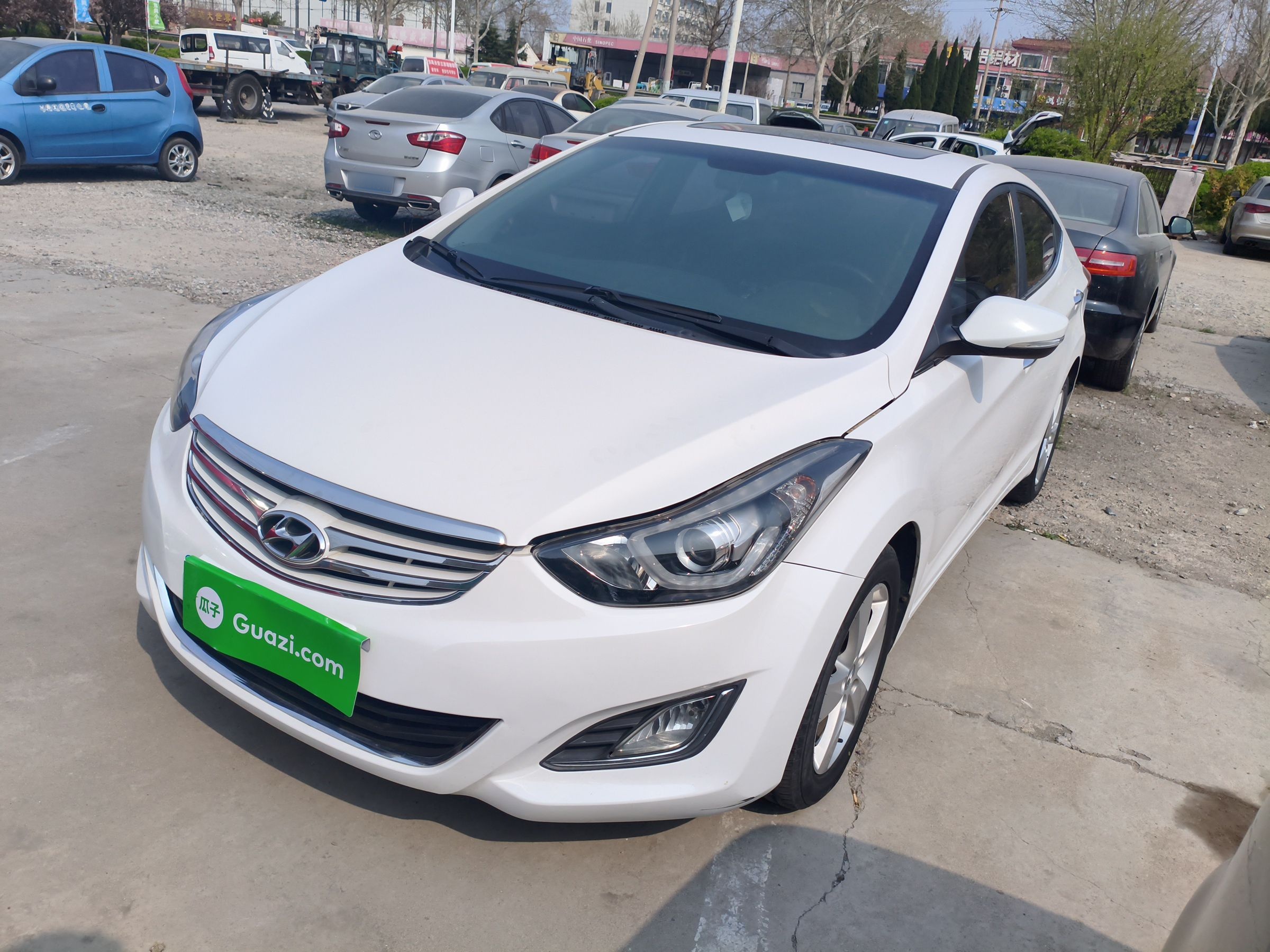 تحت مقدمة السيارة