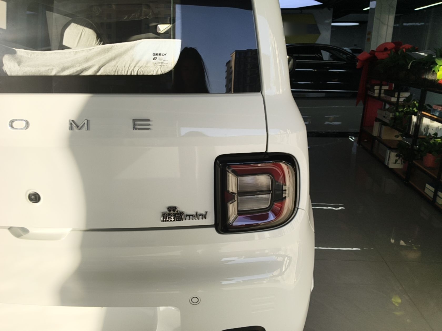 Geely Galaxy Panda 2024 Panda Mini 200km Endurance Bear — снимка 9