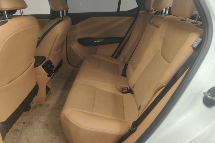 Used Lexus RZ 2023 450e All-Wheel-Drive Long-Range Version Left Rear Seat