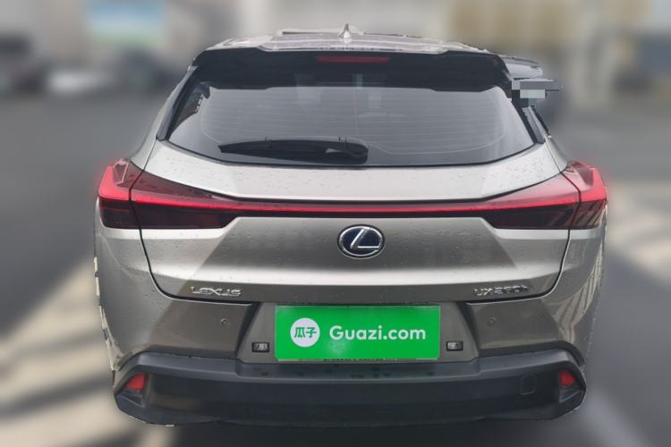 Used Lexus UX 2020 260h Explore & Adventure Edition Rear