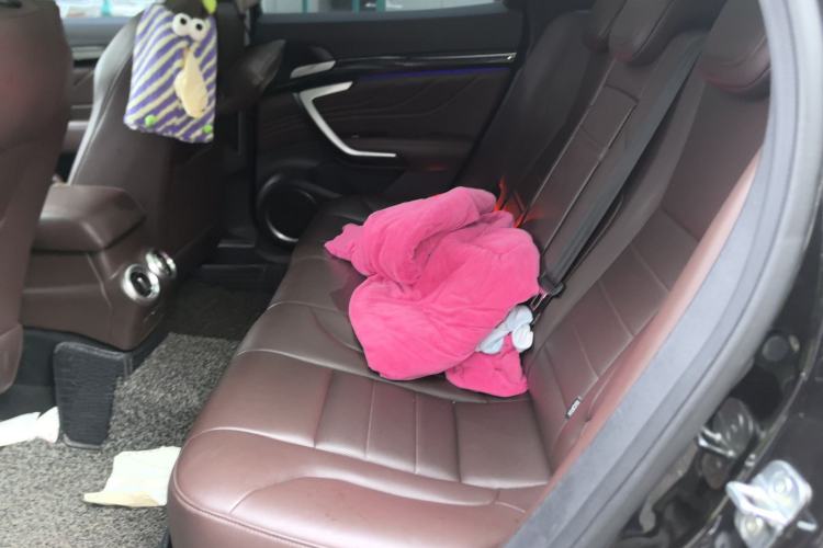 Used Wey VV7 2017 2.0T Ultra-Luxury Version Left Rear Seat