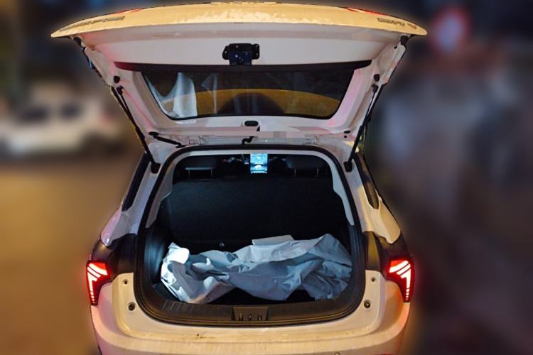 Used NETA V 2021 Long-Range Entertainment Edition Upgrade Model