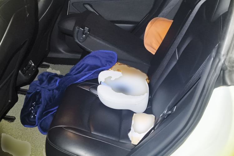 Used Tesla Model 3 2019 Long-Range Rear-Wheel-Drive Version