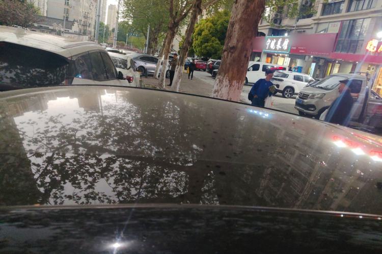 Used BYD Dolphin 2023 420 km Fashion Edition Roof