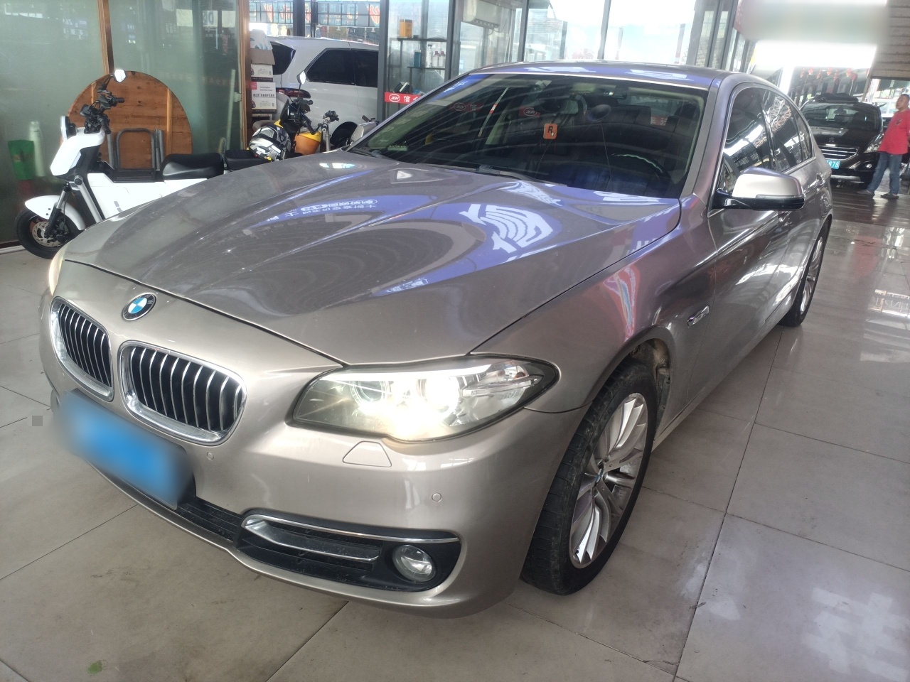 Parte inferior delantera