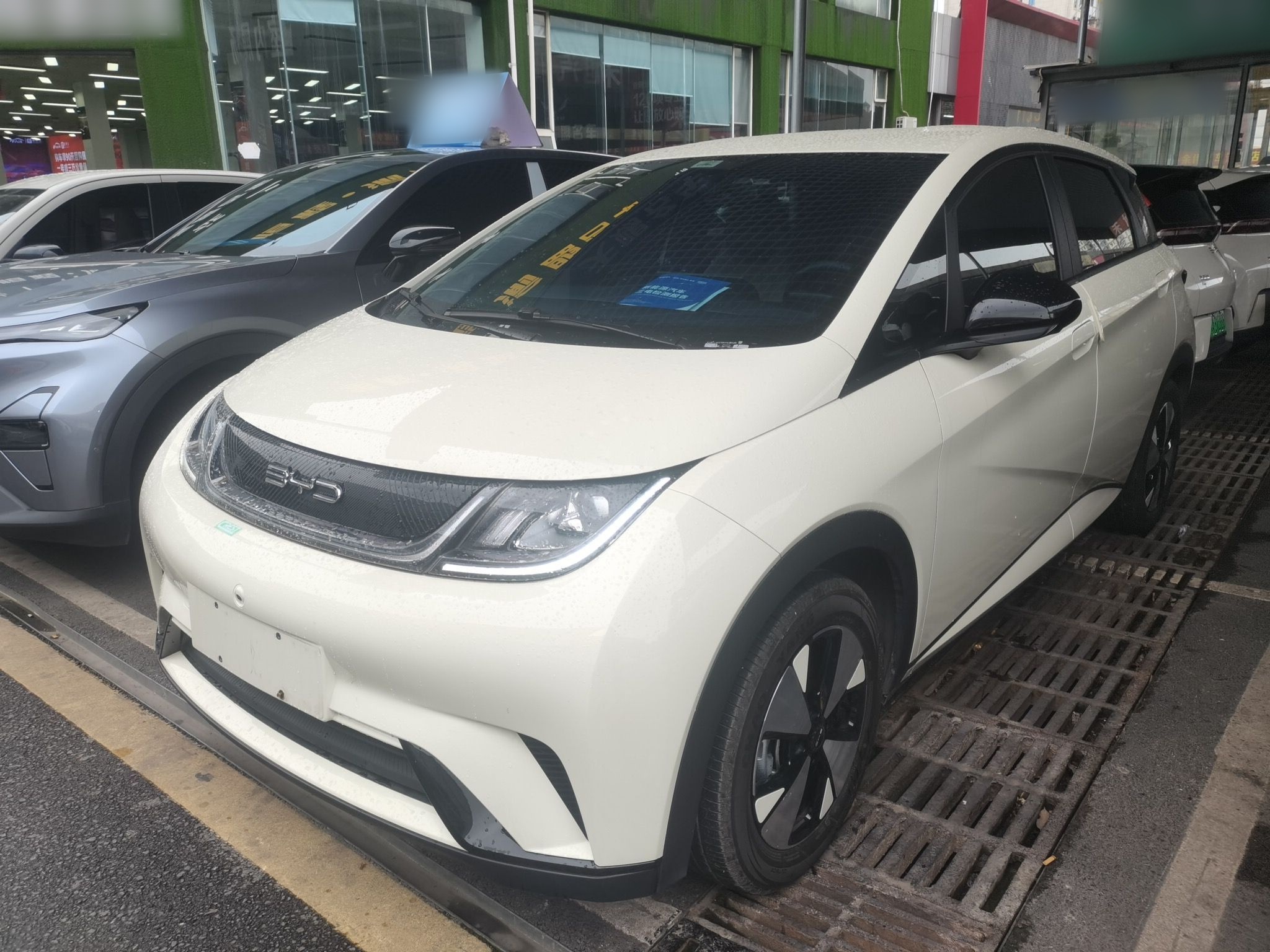 Parte inferior delantera