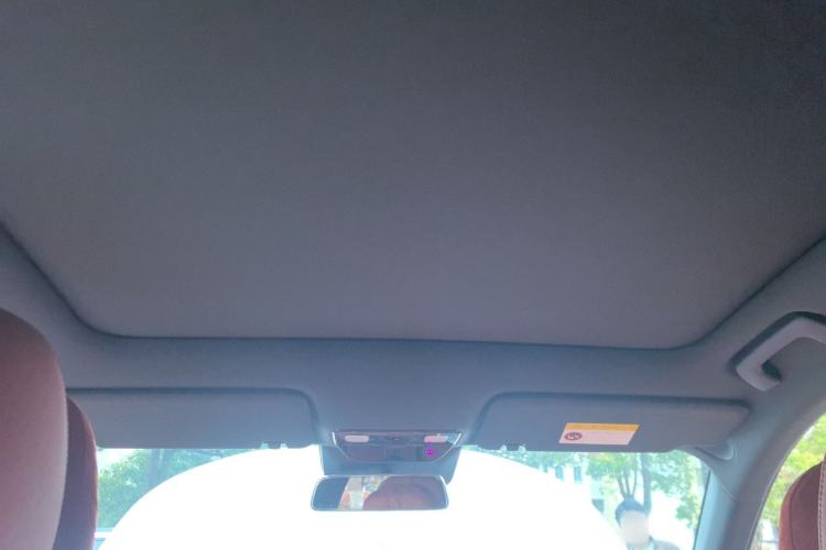 Used Li Auto L6 2024 Pro Model Headliner