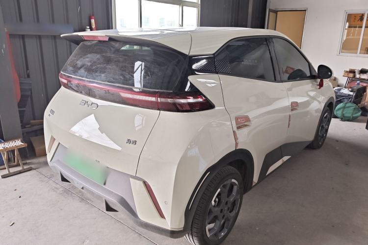 Used BYD Seagull 2024 Honor Edition 305km Freedom Version