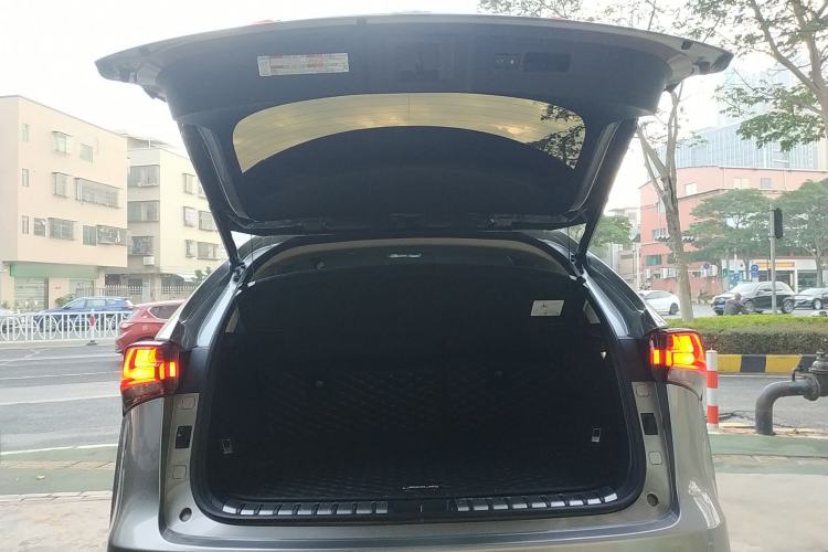 Used Lexus NX 2020 200 All-Wheel Drive Fēngshàng Version China VI Standard