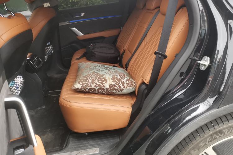 Used BYD Tang New Energy 2022 DM-p 215KM Four-Wheel Drive Flagship Model Left Rear Seat