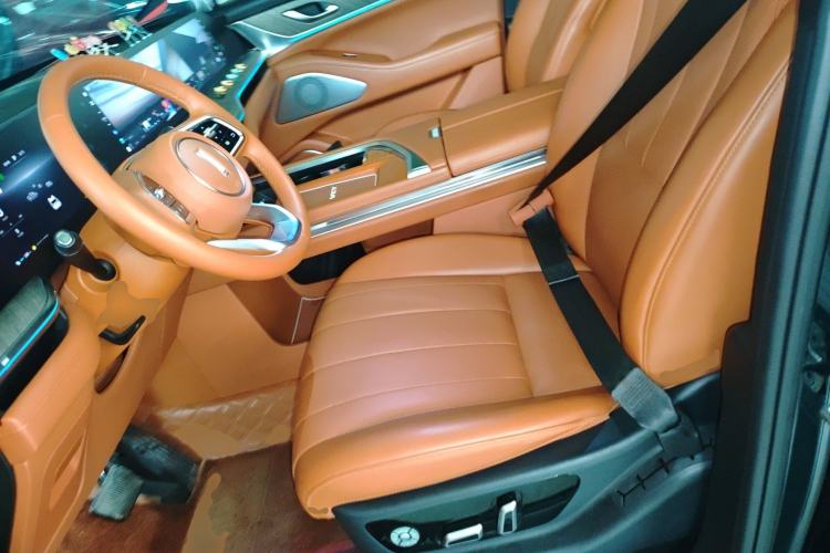 Used Wey Lanshan 2023 Four-Wheel Drive Ultra-Long Range Version Left Front Seat