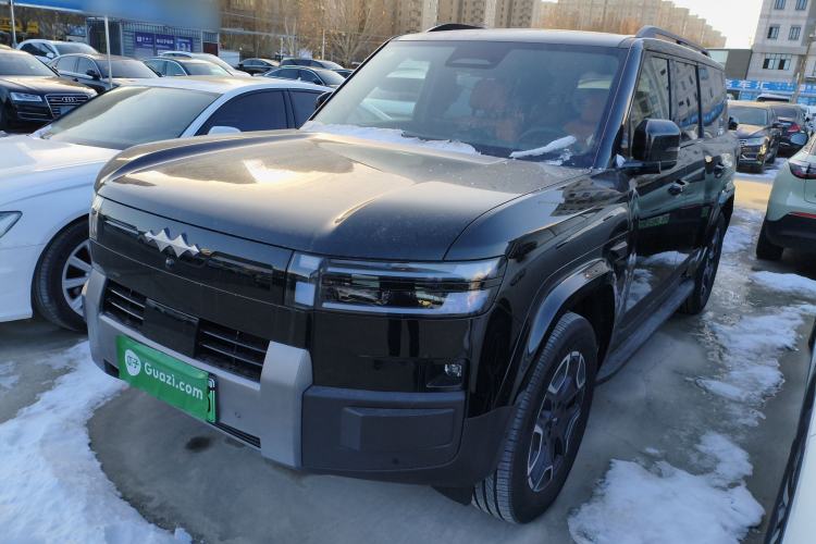 Used Formula Leopard Tai 7 2025 Model 200 km Two-Wheel Drive Max Edition