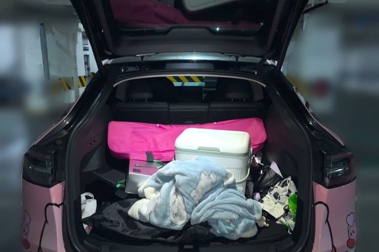 Used Tesla Model Y 2024 Rear-Wheel-Drive Version