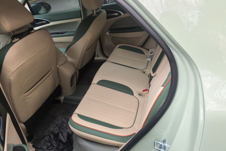 Used ORA Good Cat 2023 401 km Standard Range Luxury Version Lithium Iron Phosphate