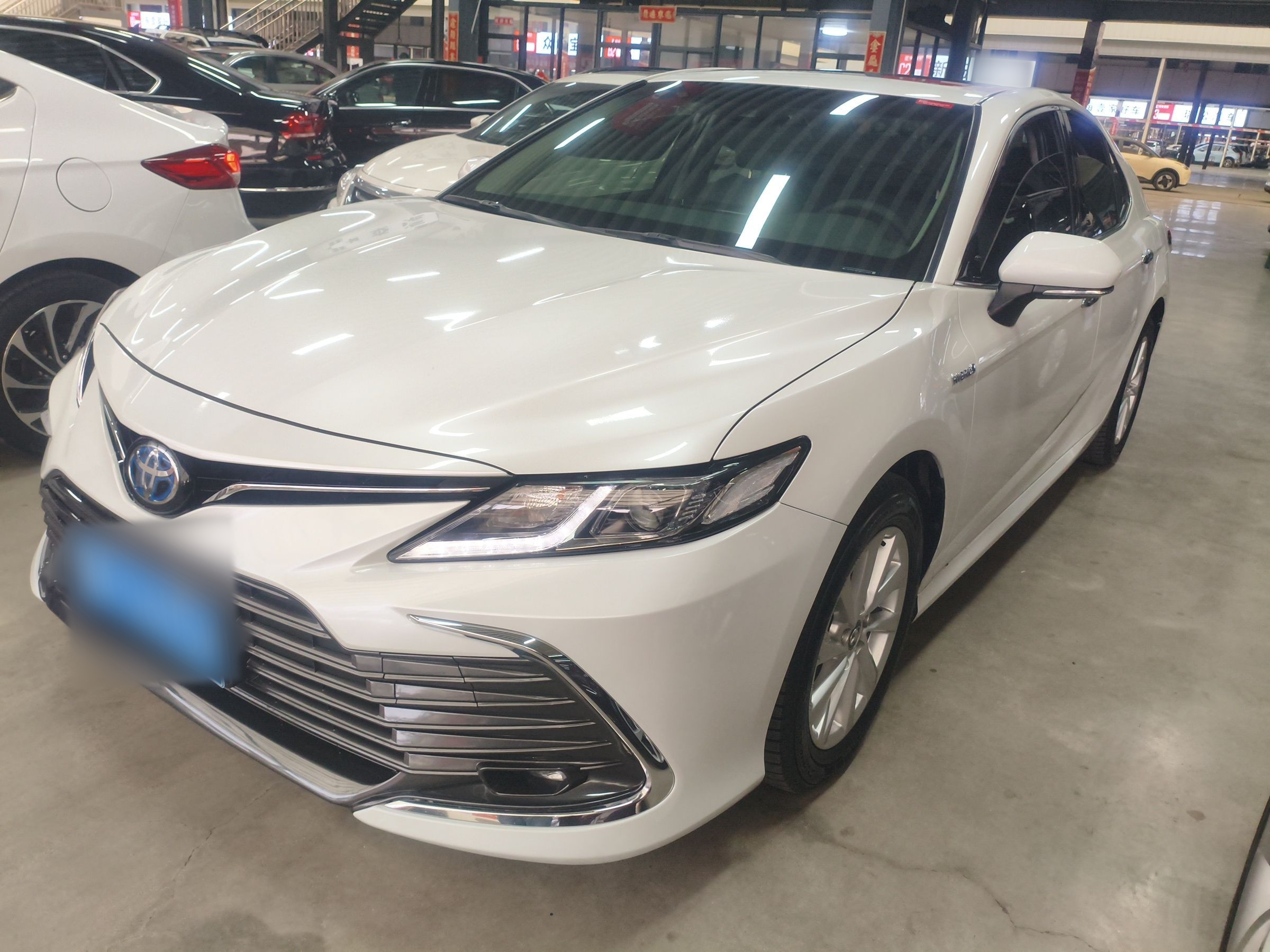 تحت مقدمة السيارة