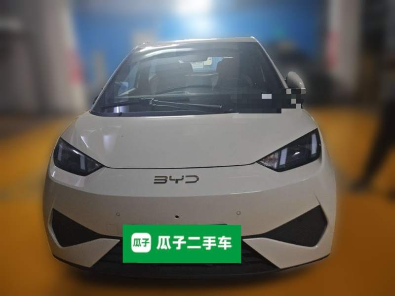 Used BYD Seagull 2025 Smart Drive Version 305 km Freedom Edition — 2