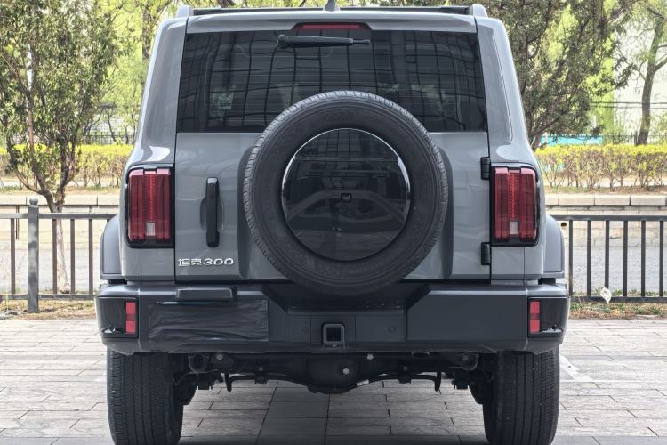 Used Tank 300 2024 2.0T Conqueror
