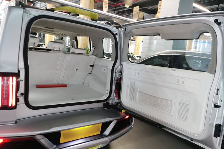 Used Cyberspace Tank 300 2021 2.0T Cyber Tank
