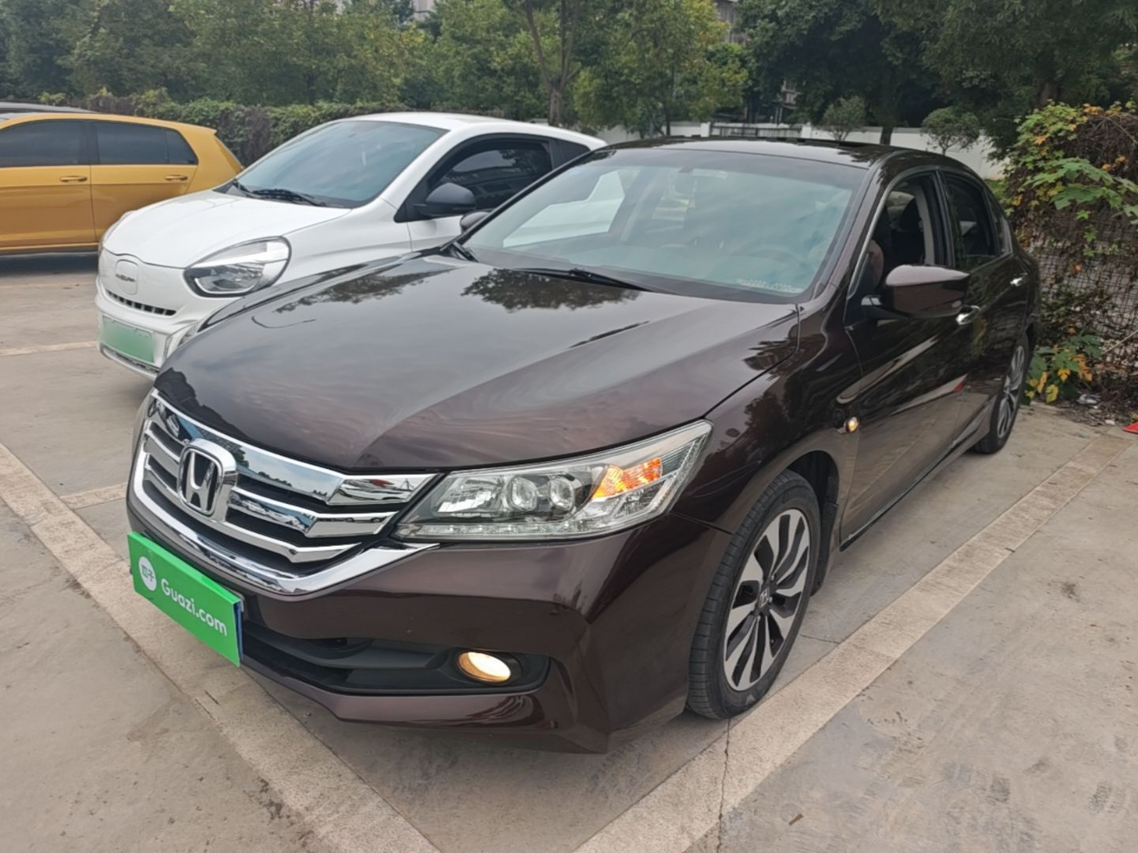 Under Front Bumper