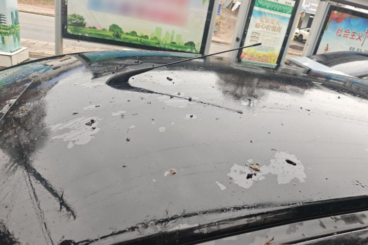 Used Baojun 310W 2017 1.2L Manual Value Edition China V