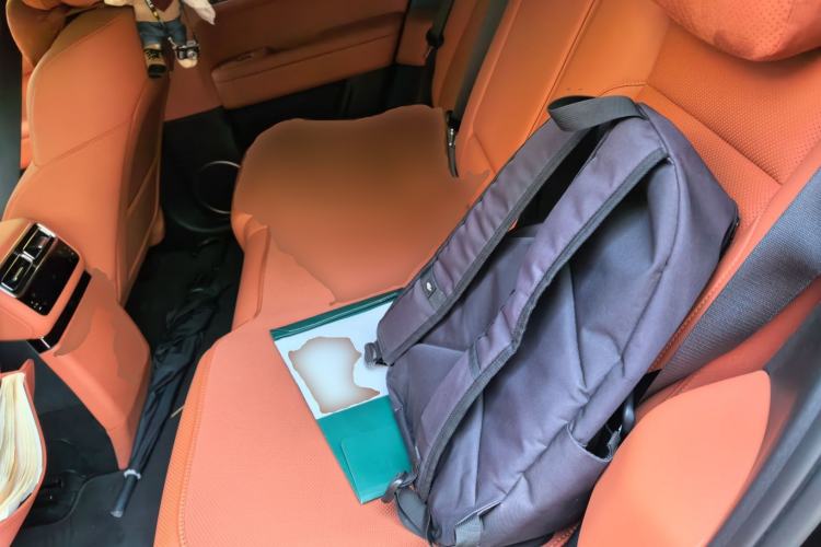 Used Li Auto L6 2024 Max
