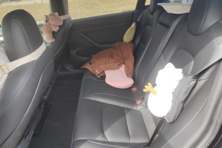 Used Tesla Model 3 2022 Rear-Wheel-Drive Version