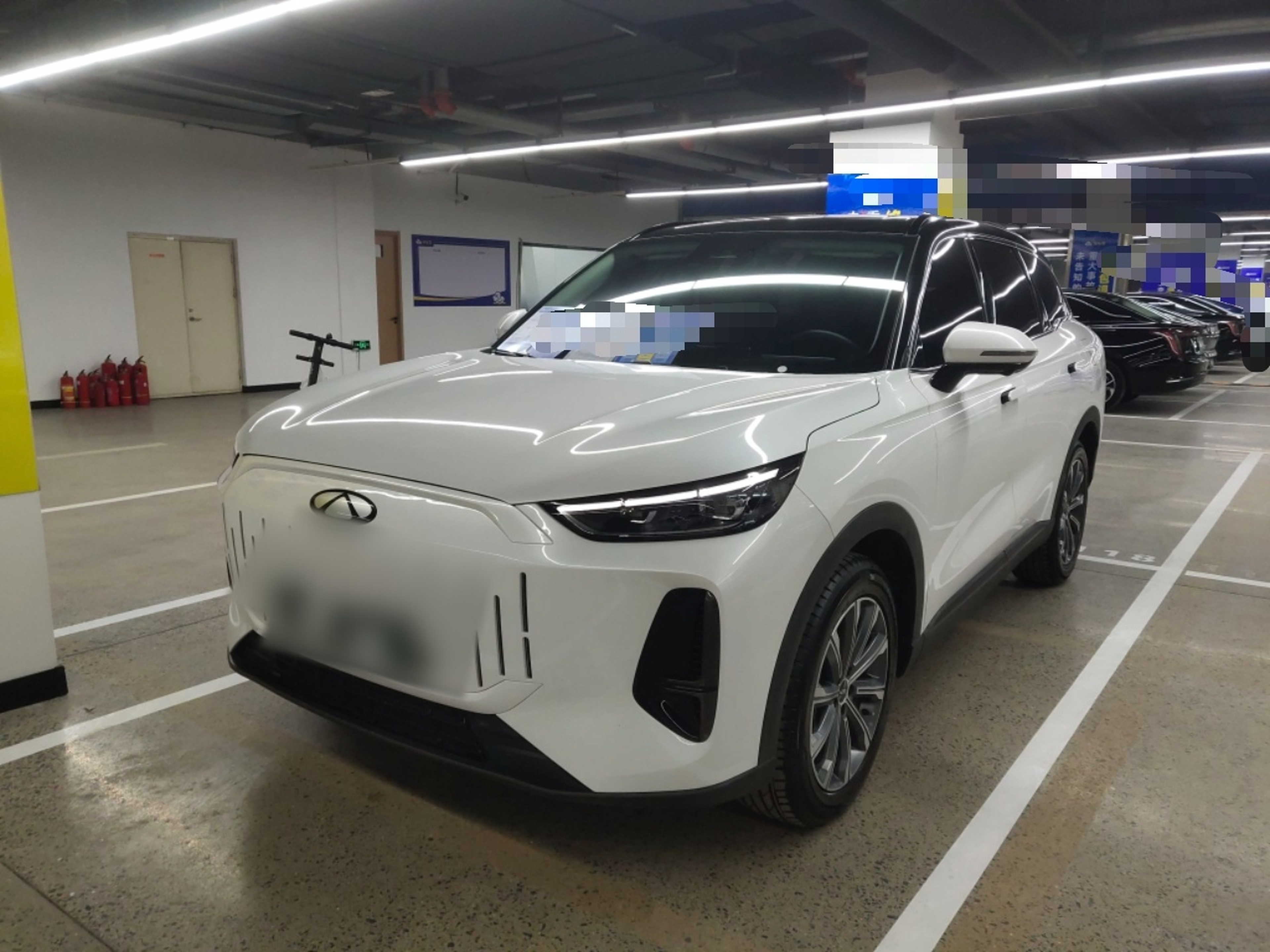 تحت مقدمة السيارة