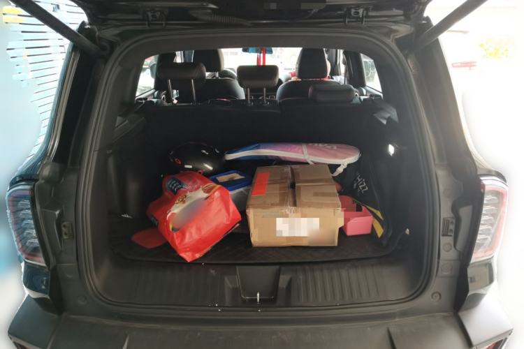 Used Haval DARGO 2024 2.0T DCT Chinese Rural Dog Edition
