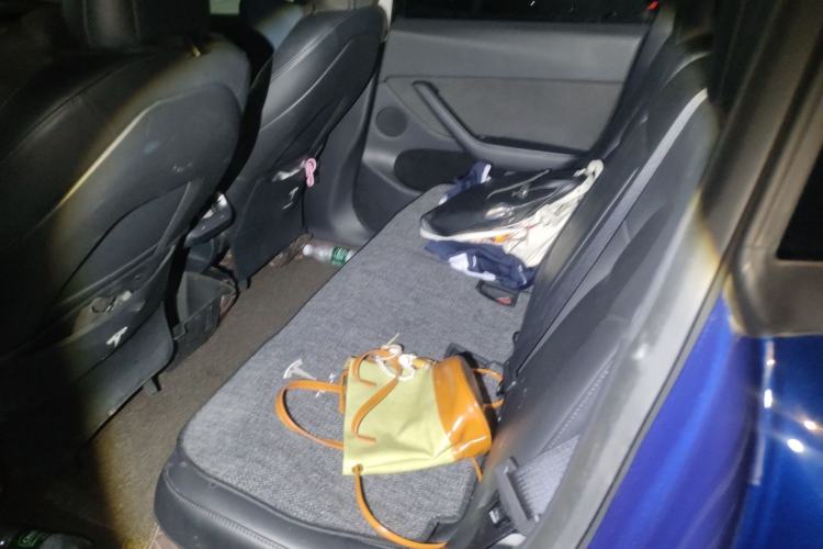 Used Tesla Model Y 2021 Standard Range Rear-Wheel Drive Version
