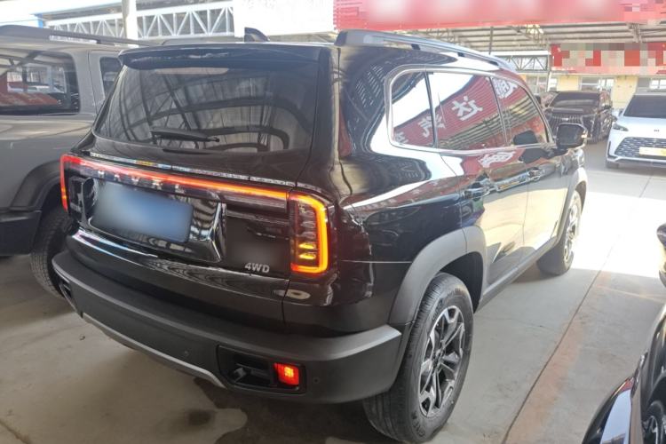 Used Haval DARGO 2024 2.0T DCT Chinese Rural Dog Edition
