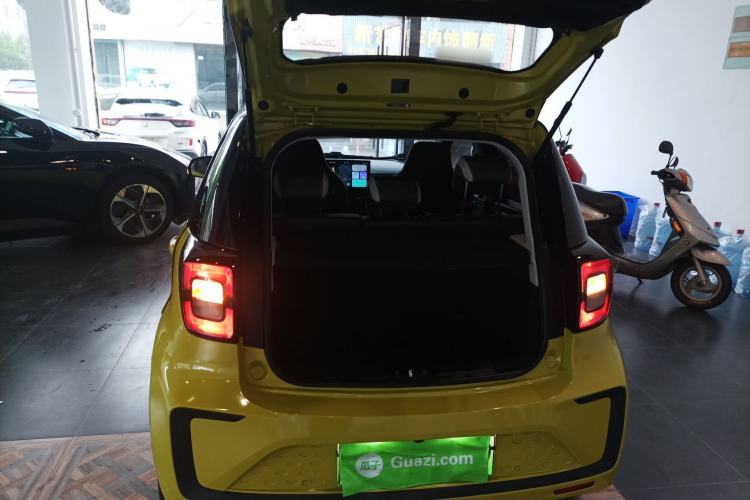 Used SOL E10X 2022 Flower Fairy Style Baby's Breath
