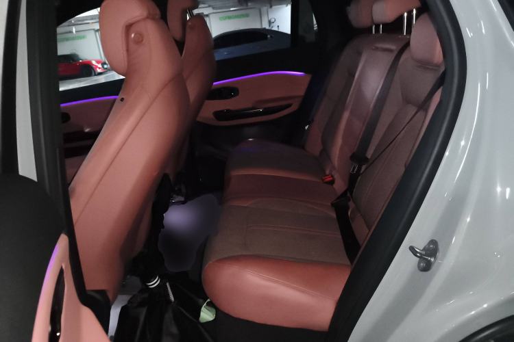 Used Nio EC6 2020 615 km Performance Edition Left Rear Seat